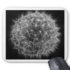 Black And White Mouse Pad Black And White Dandelion Mouse Pad Minimalist Office Gifts Personalize Office Cyo Custom White Dandelion Black And White Office Gifts