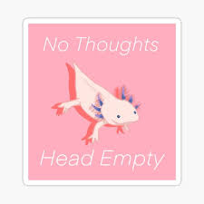 Decorate your laptops, water bottles, . Axolotl Meme Stickers Redbubble