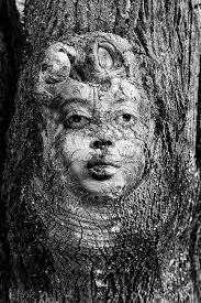 Fotowettbewerb und Fotoausstellung März 2025 in Köln