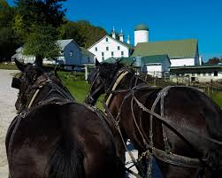 Image result for tbn:cRxpWML3C6TQFM::farm3.static.flickr.com/2382/2420623259_e3c8cd4fd8.jpg