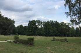 Wahrzeichen des englischen gartens ist der bereits erwähnte chinesische turm. Reiten Im Englischen Garten Mit Der Universitatsreitschule