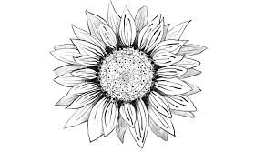 We did not find results for: Simple Aesthetic Simple Sunflower Drawing Novocom Top