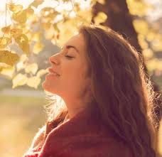 What is a Mind Scholar