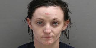 Renee Nowak's Instagram, Twitter & Facebook