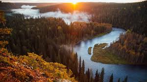 See wildlife at 141 places around finland. Visit Unique Nature Destinations In Finnish Lapland Visit Finnish Lapland