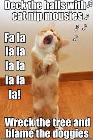50 Best Funny Animal Quotes And Funny Memes Meme Kucing Binatang Anjing
