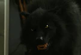 Don T Bite The Hand That Feeds You Gif Https Encrypted Tbn0 Gstatic Com Images Q Tbn 3aand9gcts1yk3tzg Fzv92jc84wdba0topfcv0cmq0a Usqp Cau