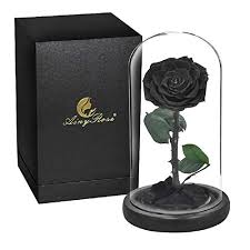The bacarra rose conveys a sense of magic due to its deep blackberry color. Black Rose Shopping Online In Karachi Lahore Islamabad
