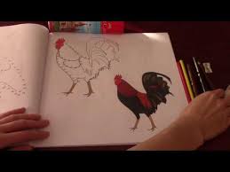 Horoz Boyama Youtube