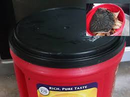 How to use febreze fabric refresher correctly. An Easy Guide To Making An Upcycled Composter