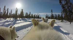 Cgtn documentary online tv channel. Cgtn Documentary Youtube