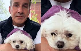 小獵豹跳上車握手資深導遊：入行21年，瞬間被融化| ETtoday寵物雲| ETtoday新聞雲