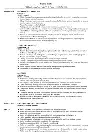 0044 121 638 0026 e: Sales Rep Resume Samples Velvet Jobs