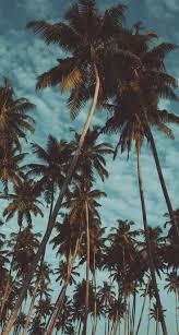 Tumblr Wallpapers 18 Best Wallpapers For Iphone X Xs Xr Xs Max You Should Download 2019 Trip G Landscape Wallpaper Best Iphone Wallpapers Summer Wallpaper