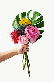 Woman Holding Up A Tropical Flower Bouquet Transparent Png Premium Image By Rawpixel Com Nam Tropical Flowers Bouquet Plants Very Beautiful Flowers
