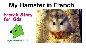 Listen to hear the pronunciation. French Story About Hamsters 3rd Person Present Tense French Verb Practice Youtube