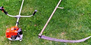 Want The Backyard Of Your Dreams Clear The Brush Out Clearing Brush Land Clearing Backyard