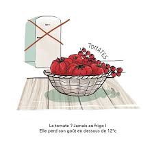 Collectif Nouveaux Champs Sur Instagram Bien Conserver Les Fruits Et Legumes Frigo Ou Pas Frigo Si Oui Combien De Temps Maximum On Vous Dit Tout
