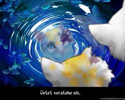 We have a massive amount of hd images that will make your computer or smartphone look absolutely fresh. Warrior Cat Wallpaper Posted By Ryan Peltier