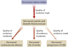 Learn vocabulary, terms and more with flashcards central and nephrogenic diabetes insipidus and excessive water intake would all result in hyposmotic urine. Kdigo 2020 Clinical Practice Guideline For Diabetes Management In Chronic Kidney Disease Kidney International