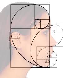 Golden Ratio On Tumblr Fibonacci Sequence In Nature Geometry Art Fibonacci Spiral