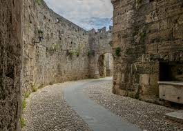 Image result for Sorindeia rhodesica