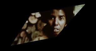 PRESENTATION: City in a Garden-Queer Art and Activism in Chicago