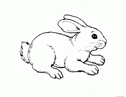 Download this running horse printable to entertain your child. Free Printable Color Pages Farm Animals Coloring Coloring Library
