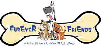 Adopt a dog near phoenix, az! Furever Friends Rescue Reviews And Ratings Gilbert Az Donate Volunteer Review Greatnonprofits