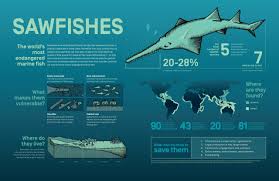 Spreading the Shark love