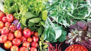 Menanam sayuran organik tidaklah susah. Menanam Pangan Organik Dari Rumah Greeners Co