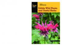 Image result for Neorautanenia ficifolia