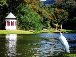 Resultado de imagem para Nova Friburgo Rj