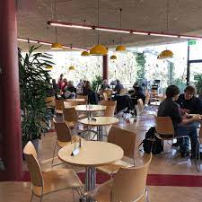 Decorating a living room or a bedroom does not require a lot of cafe chairs are not merely plastic chairs. Bru Na Boinne Brambles