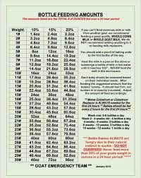 Pin By Joanne Murphy On Goats Feeding Goats Bottle Feeding Goats