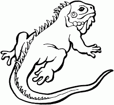 Free printable dragon coloring pages for kids. Lizard Coloring Pages Bearded Dragon Coloring4free Coloring4free Com