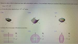 Solved Display The Values Of The Function In Two Ways A Chegg Com