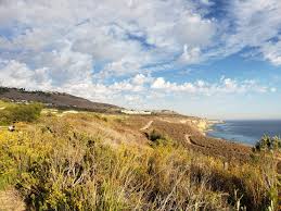Trails in the reserve extension. View South From The Trail Picture Of Ocean Trails Reserve Rancho Palos Verdes Tripadvisor