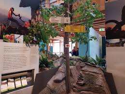 Interaktive ausstellung im haus der natur. Haus Der Natur Feldberg Der Testbericht