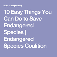 10 Easy Things You Can Do To Save Endangered Species Endangered Species Coalition Endangered Species Endangered Species