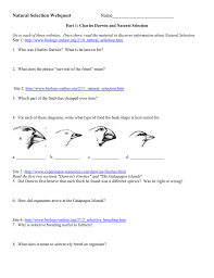 Evolution webquest questions and study guide | quizlet. Natural Selection Web Quest