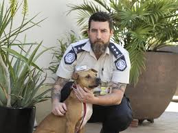 The Force Waging War On Dog Fighting Scourge Daily Mercury