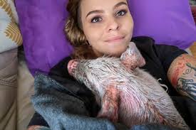 𝐒𝐈𝐒𝐔 𝐑𝐄𝐅𝐔𝐆𝐄