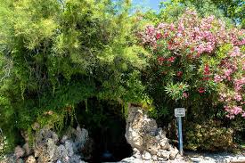 Jardin Du Rocher Des Doms Sight To See In Avignon Jardin Plants Garden