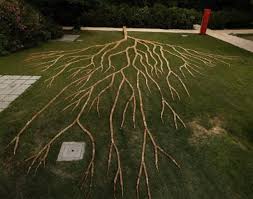 Wooden Tree Installation Show Strength Of Domino Effect Earth Art Public Art Land Art