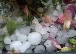 Inviateci video e foto del temporale che poco fa si è abbattuto sulla nostra provincia al nostro contatto whatsapp 3931616197. Lombardia Sotto La Grandine Colpite Pavia Mantova E Como
