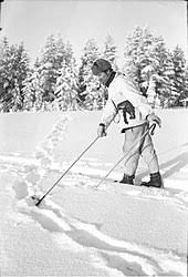 Temperatures in finland dropped below minus 40 degrees celsius during the war. Winter War Wikipedia