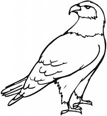 Free coloring pages american bald eagle. Free Printable Eagle Coloring Pages For Kids Bird Coloring Pages Eagle Coloring Pages Bird Coloring