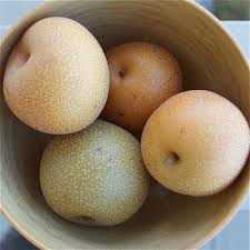 Maybe you would like to learn more about one of these? Varieties Of Pears From Anjou To Williams Pear Varieties Pear Asian Pear