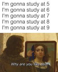 Top 27 Funny Memes About Studying Funny Study Quotes Studying Memes Procrastination Memes